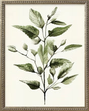 Load image into Gallery viewer, 16x20 Green Botanicals Silver Bead Gallery Frame