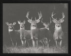 16x20 Black Bead Gallery Frame - Antler Collection - Dark #1