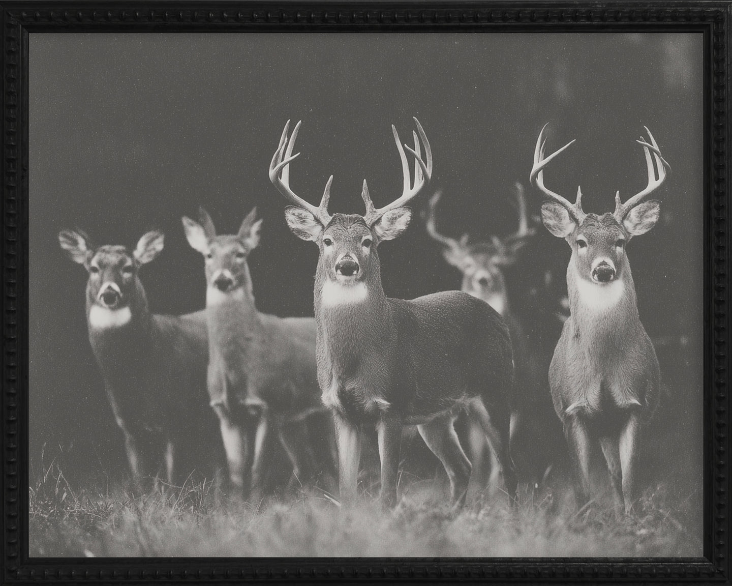 16x20 Black Bead Gallery Frame - Antler Collection - Dark #1