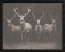 Load image into Gallery viewer, 16x20 Black Bead Gallery Frame - Antler Collection - Dark #3
