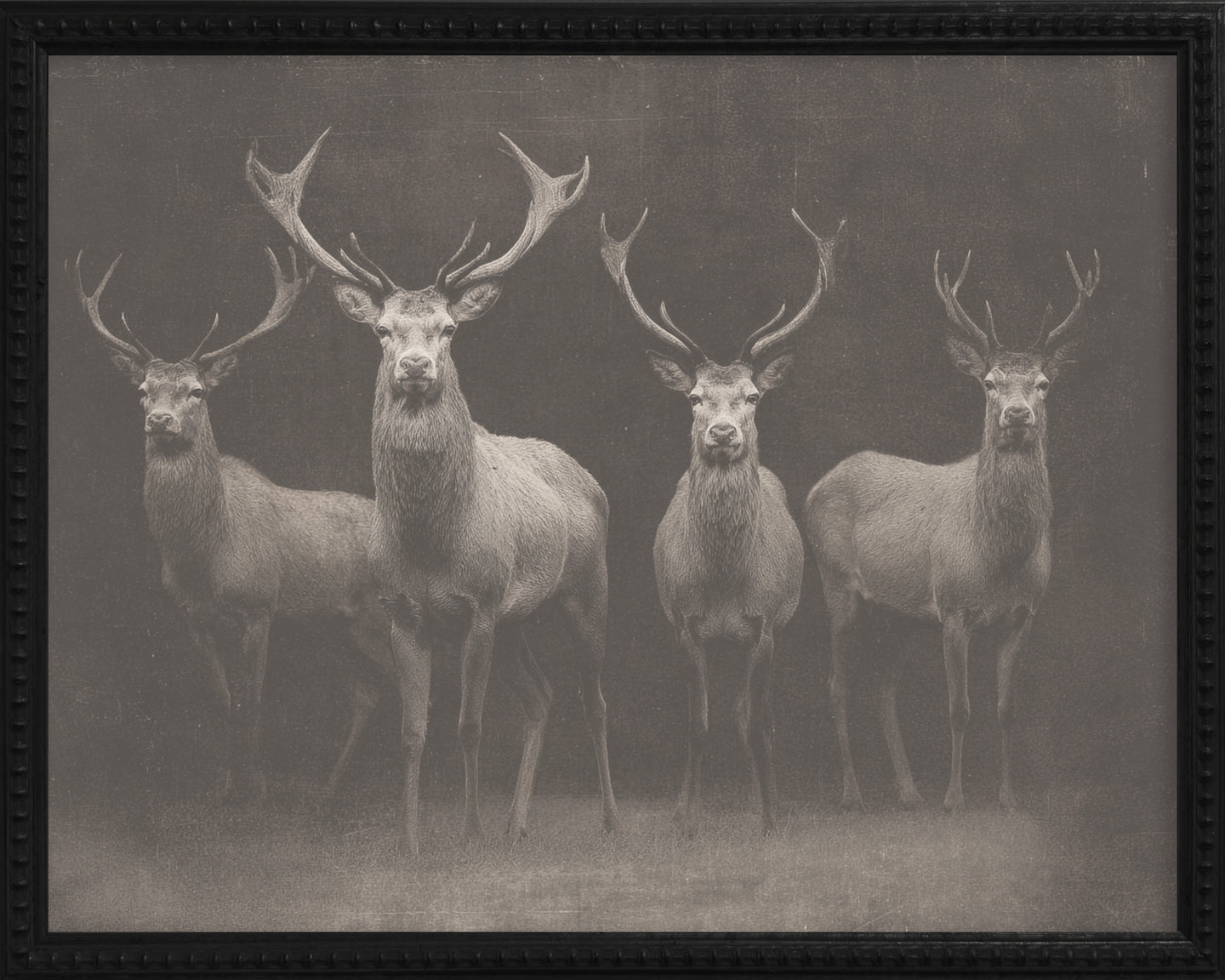 16x20 Black Bead Gallery Frame - Antler Collection - Dark #3