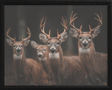 Load image into Gallery viewer, 16x20 Black Bead Gallery Frame - Antler Collection - Dark #4

