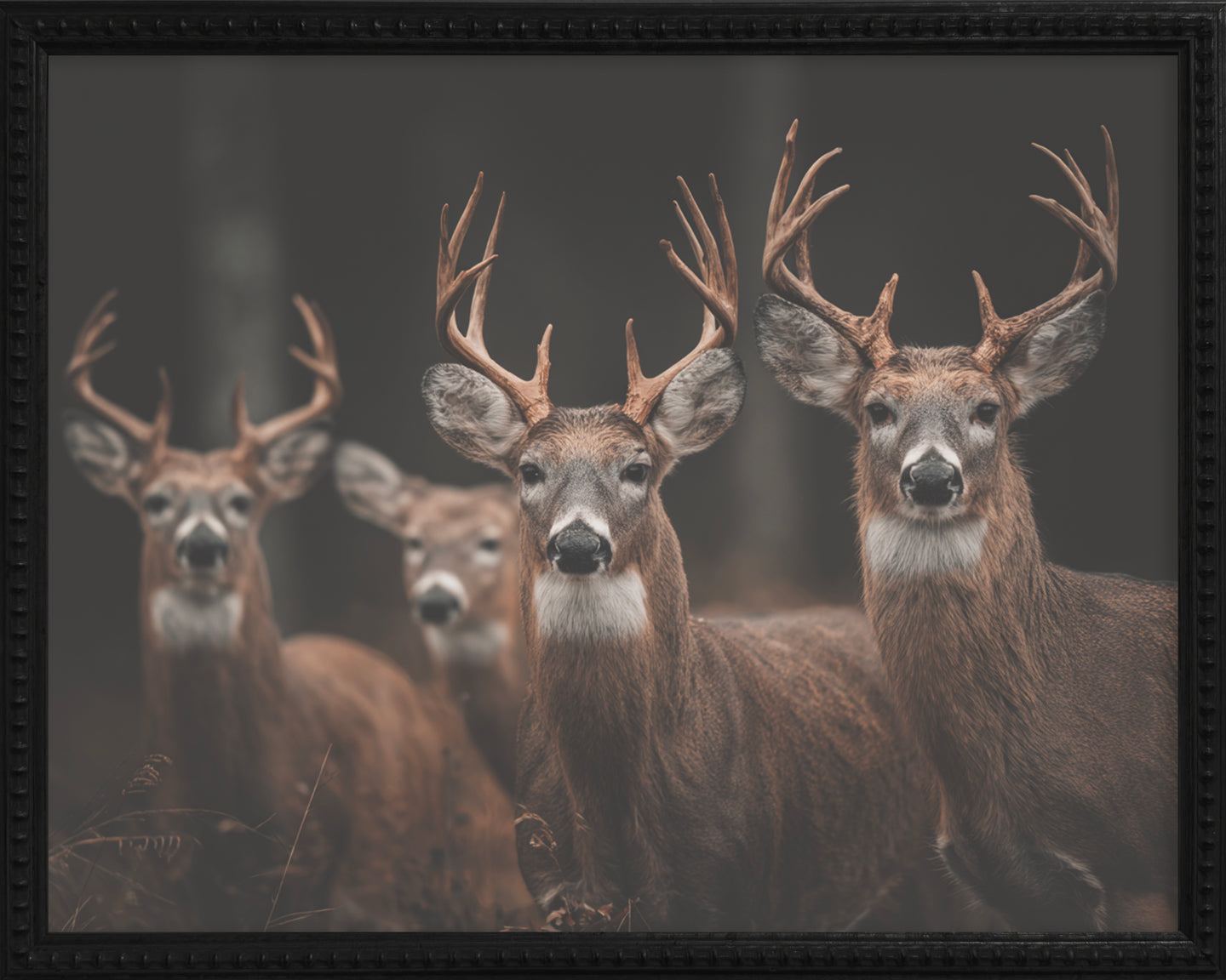 16x20 Black Bead Gallery Frame - Antler Collection - Dark #4