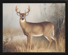 Load image into Gallery viewer, 16x20 Black Bead Gallery Frame - Antler Collection - Oil #2
