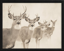 Load image into Gallery viewer, 16x20 Black Bead Gallery Frame - Antler Collection - Vintage #2
