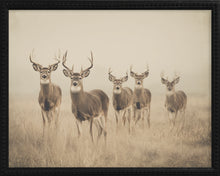 Load image into Gallery viewer, 16x20 Black Bead Gallery Frame - Antler Collection - Vint #1
