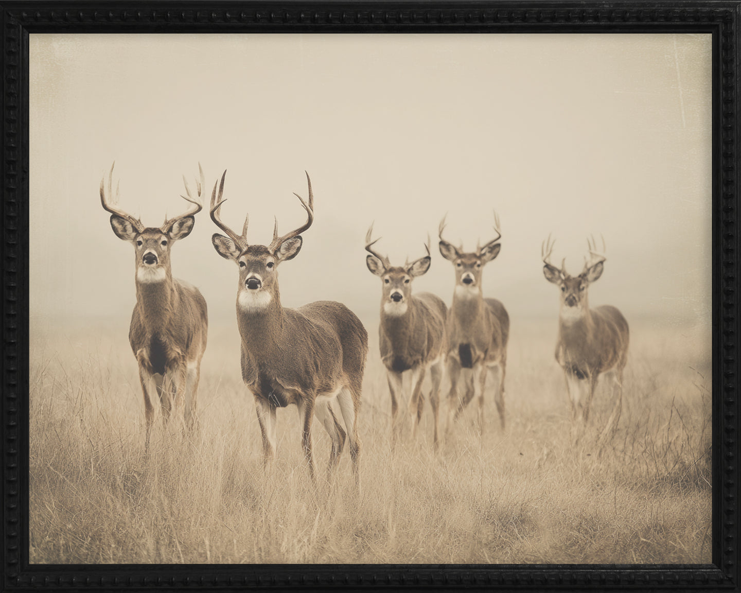 16x20 Black Bead Gallery Frame - Antler Collection - Vint #1