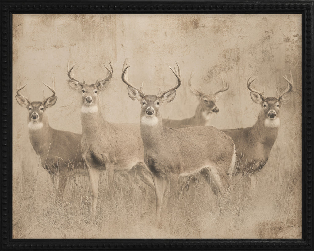 16x20 Black Bead Gallery Frame - Antler Collection - Vint #3