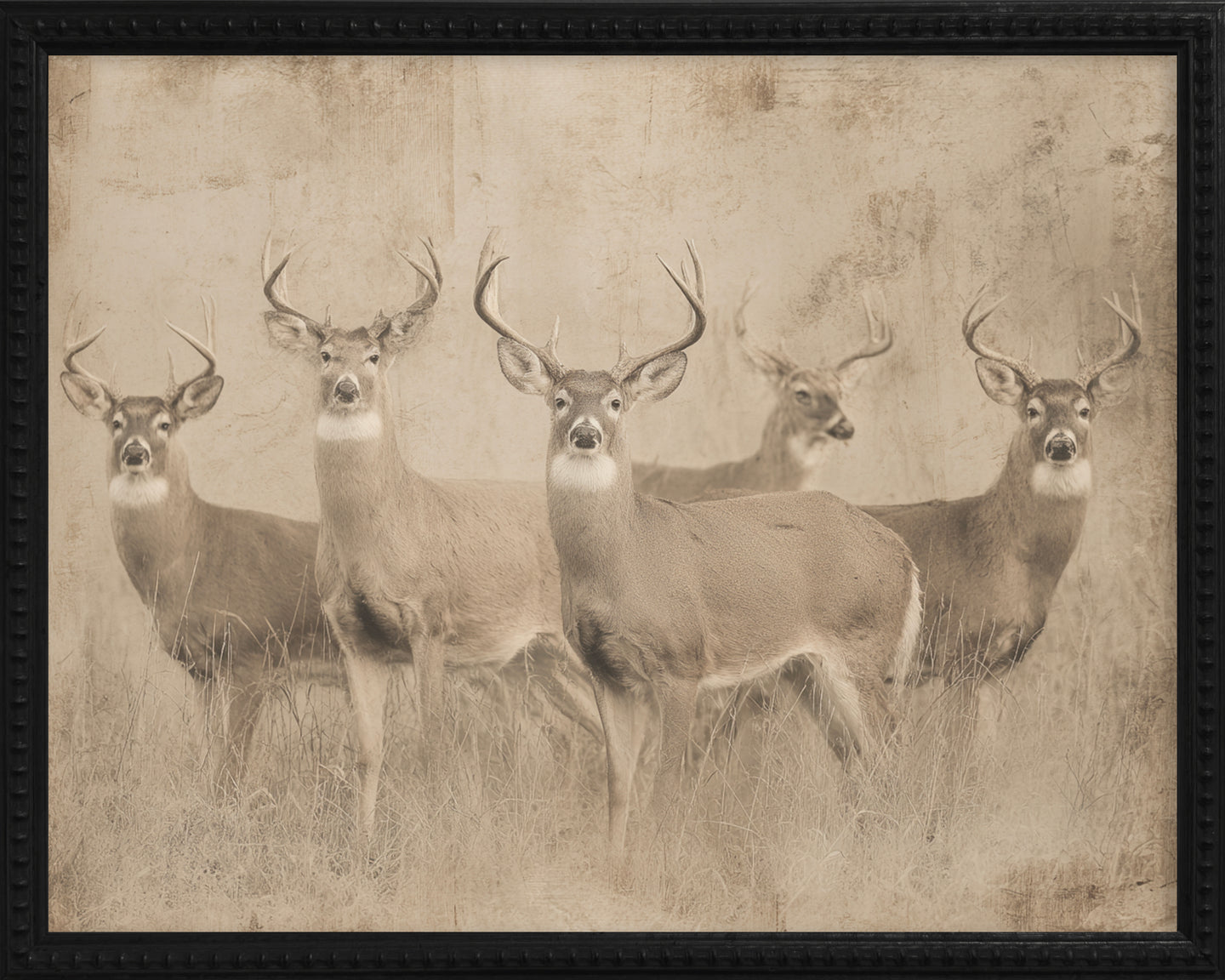 16x20 Black Bead Gallery Frame - Antler Collection - Vint #3