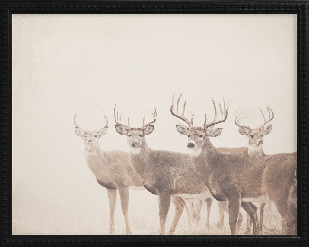 16x20 Black Bead Gallery Frame - Antler Collection - Vint #4