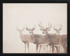 16x20 Black Bead Gallery Frame - Antler Collection - Vint #4