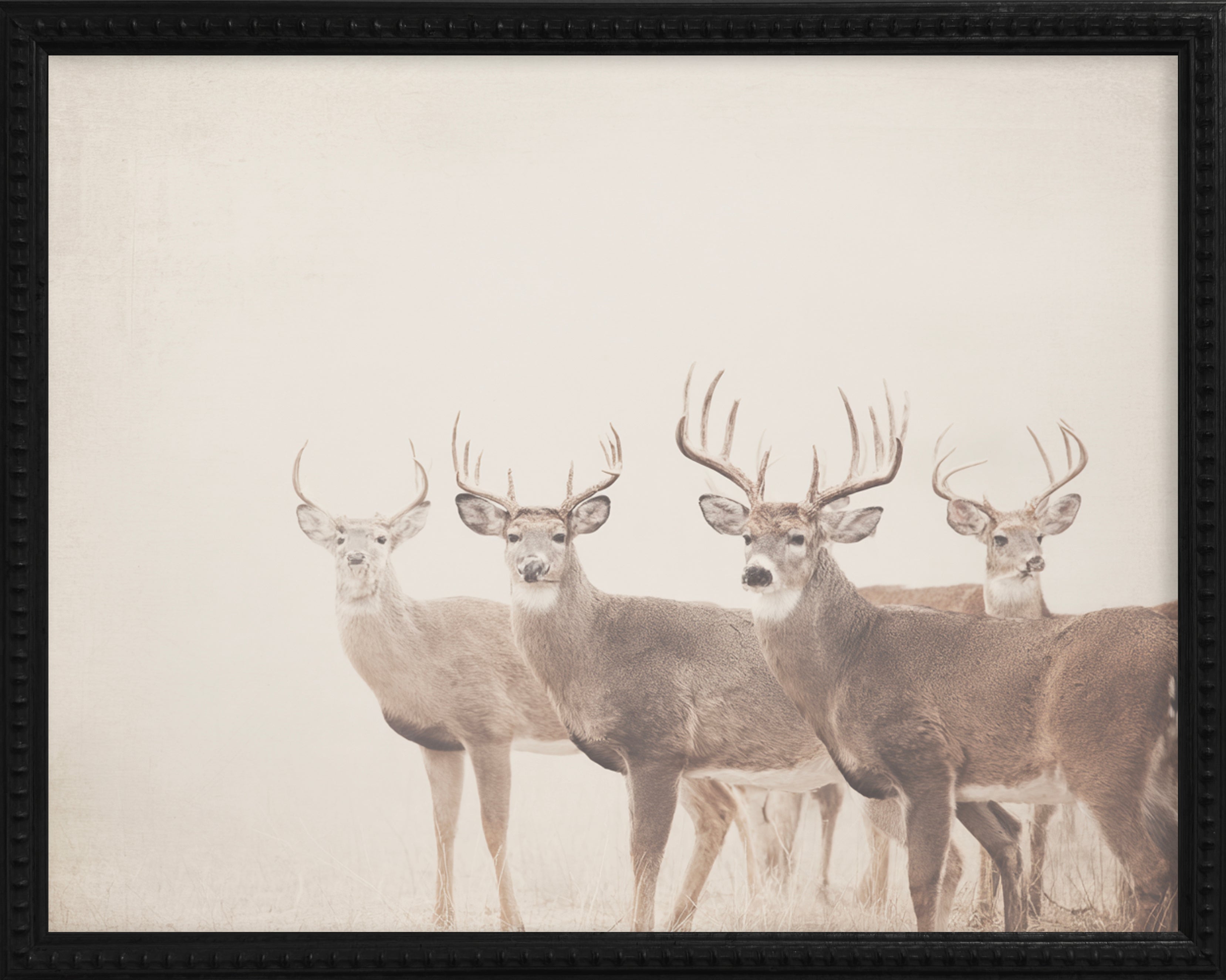 16x20 Black Bead Gallery Frame - Antler Collection - Vint #4