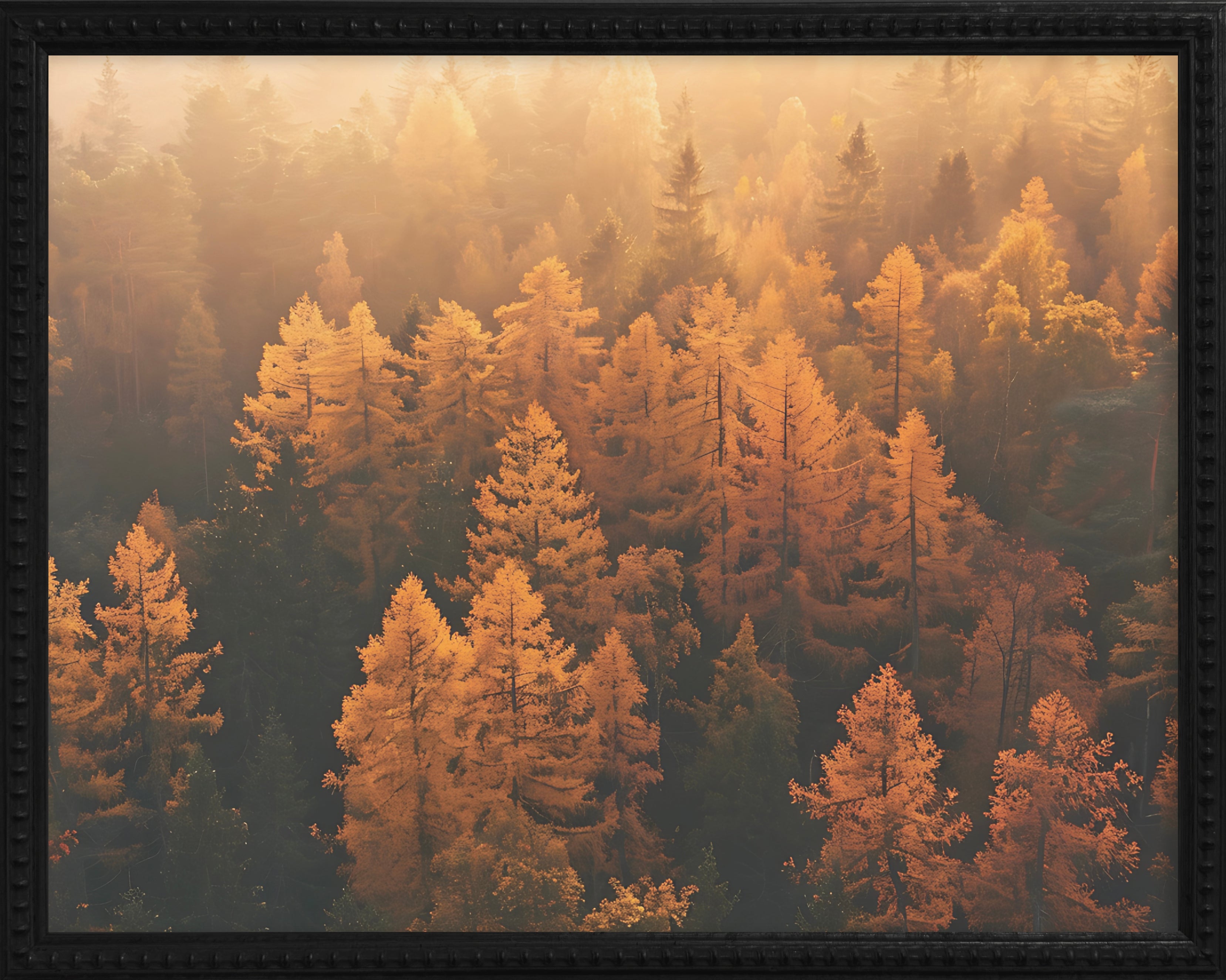 16x20 Black Bead Gallery Frame - Fall Aerial