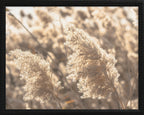 16x20 Black Bead Gallery Frame - Pampas Grass