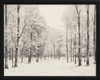 16x20 Black Bead Gallery Frame - Vintage Snowy Trees