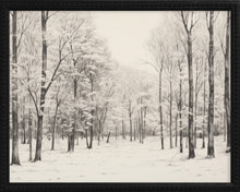 Load image into Gallery viewer, 16x20 Black Bead Gallery Frame - Vintage Snowy Trees
