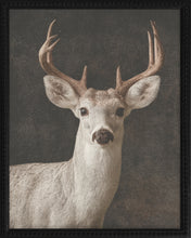 Load image into Gallery viewer, 16x20 Black Bead Gallery Frame - Antler Collection - Dark #6
