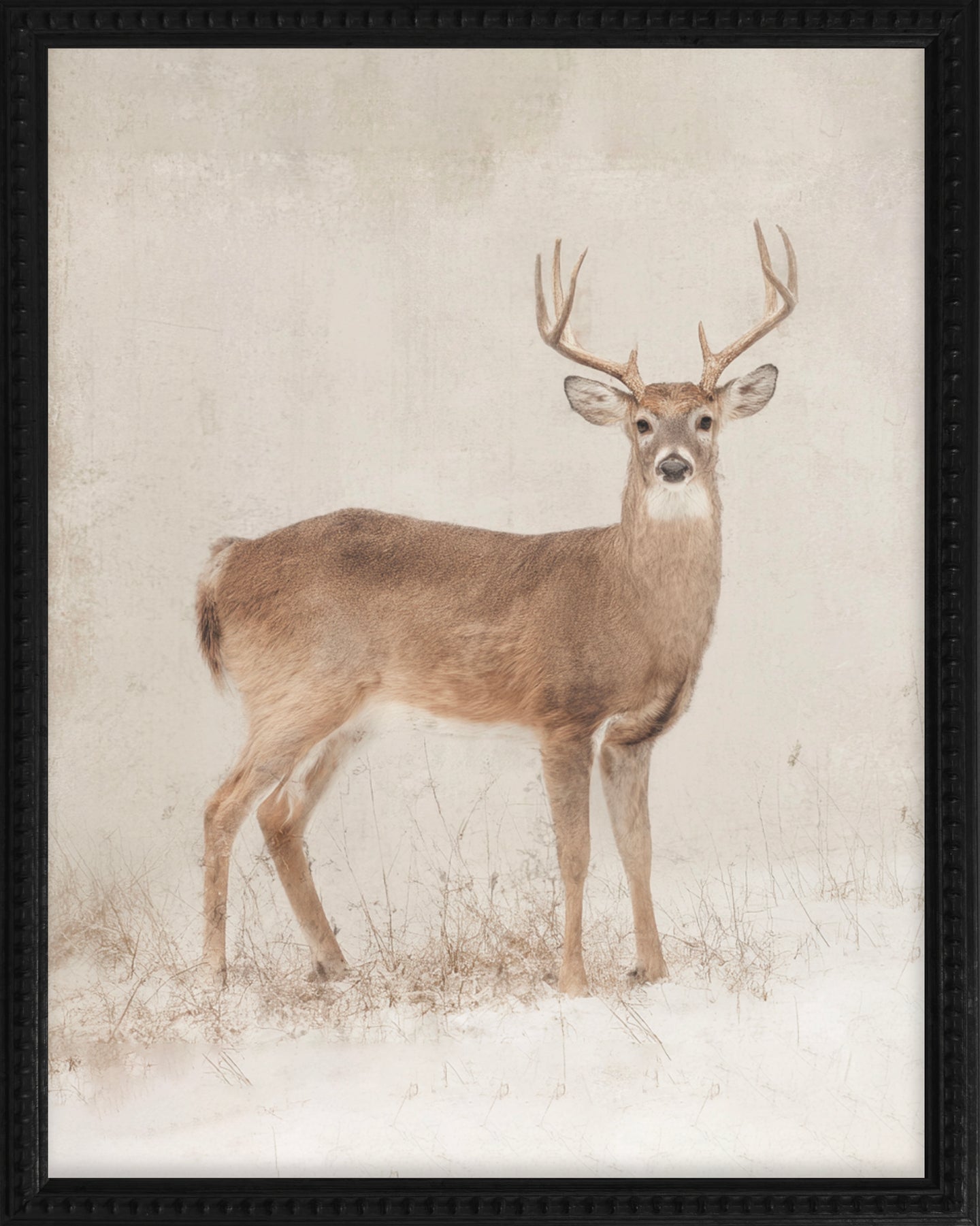 16x20 Black Bead Gallery Frame - Antler Collection - Vint #5