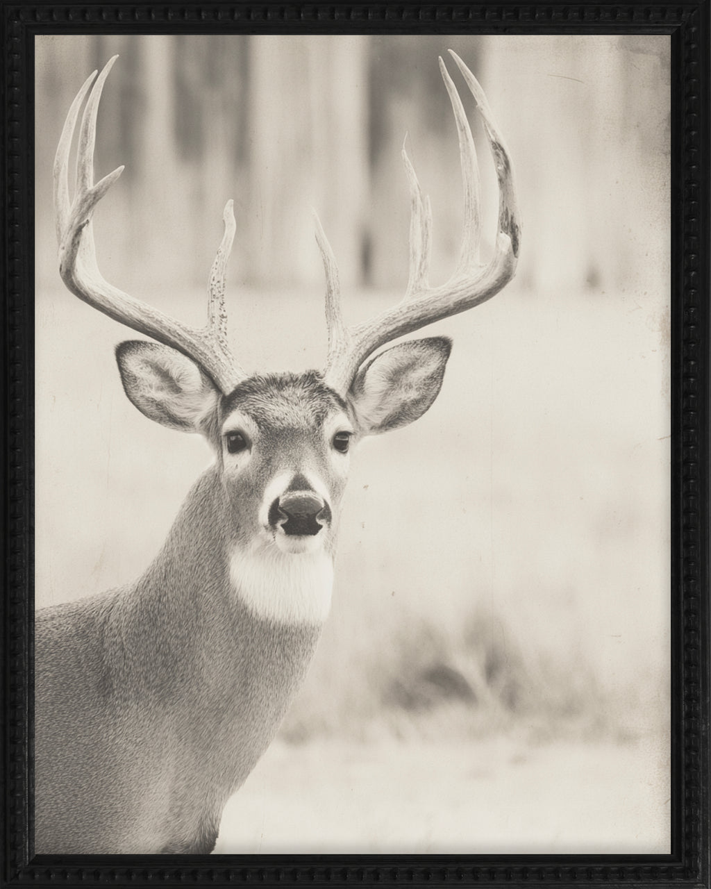 16x20 Black Bead Gallery Frame - Antler Collection - Vint #6