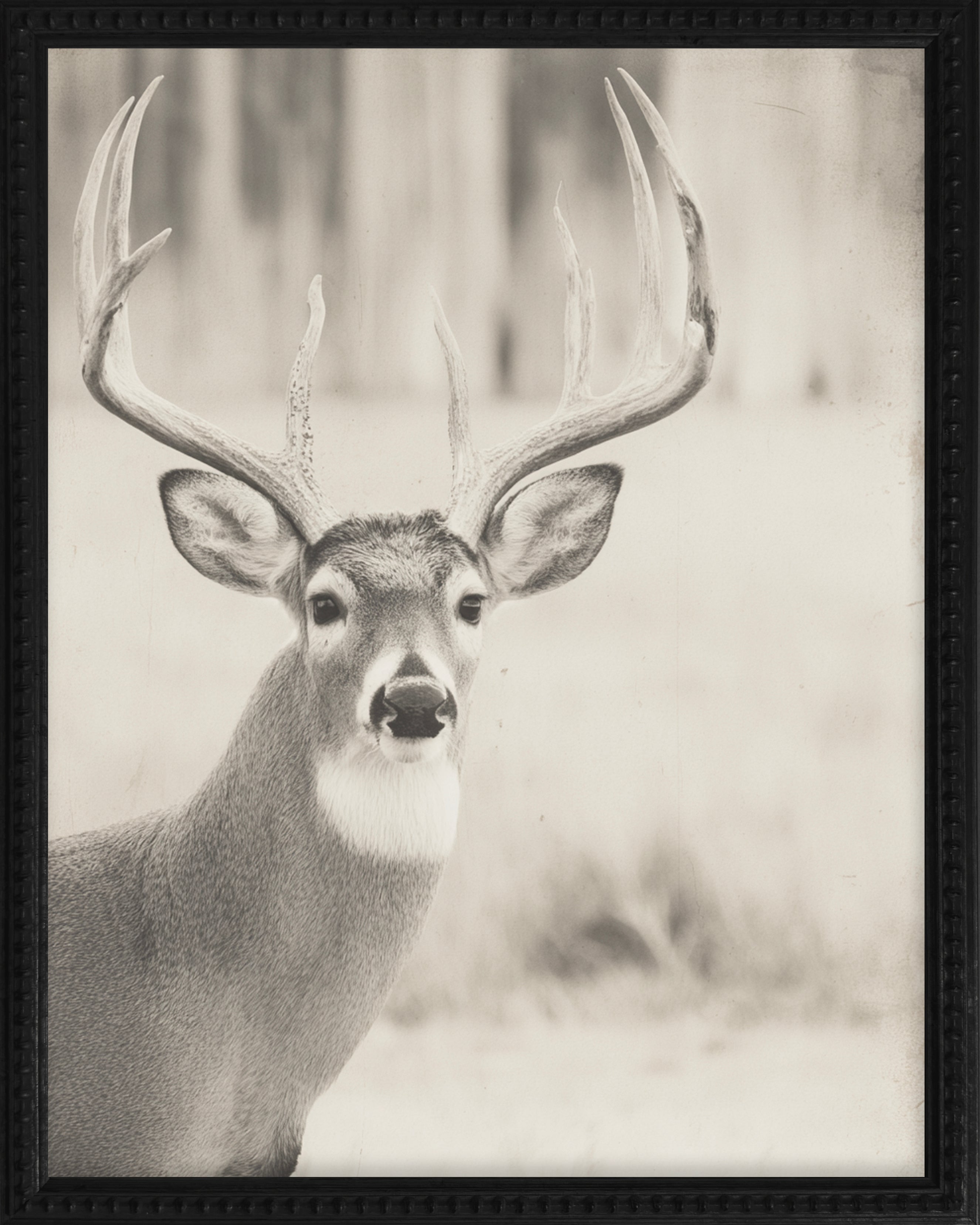 16x20 Black Bead Gallery Frame - Antler Collection - Vint #6