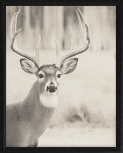 Load image into Gallery viewer, 16x20 Black Bead Gallery Frame - Antler Collection - Vint #6
