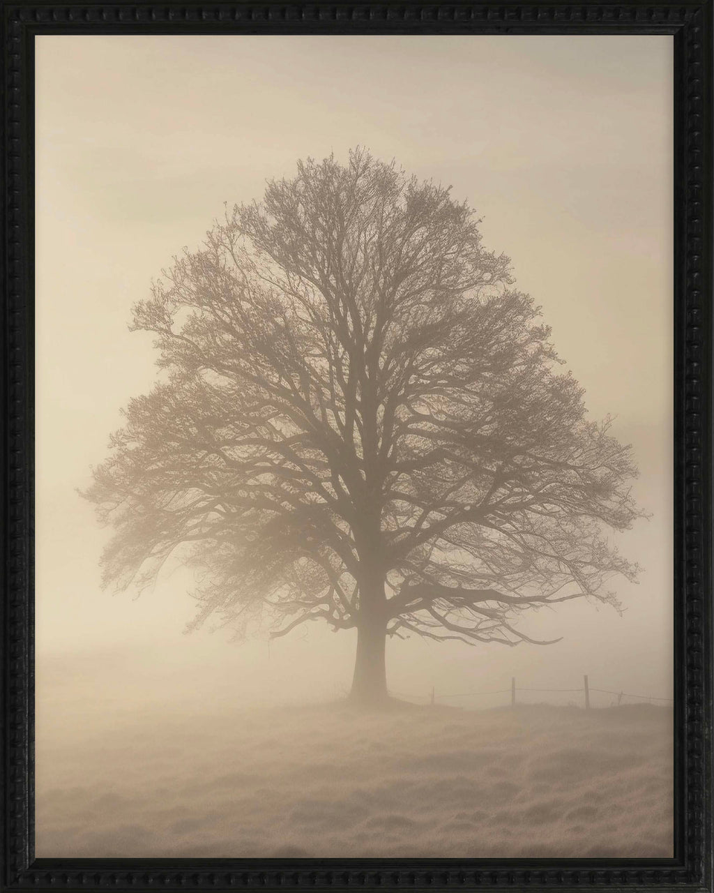 16x20 Black Bead Gallery Frame - Foggy Tree