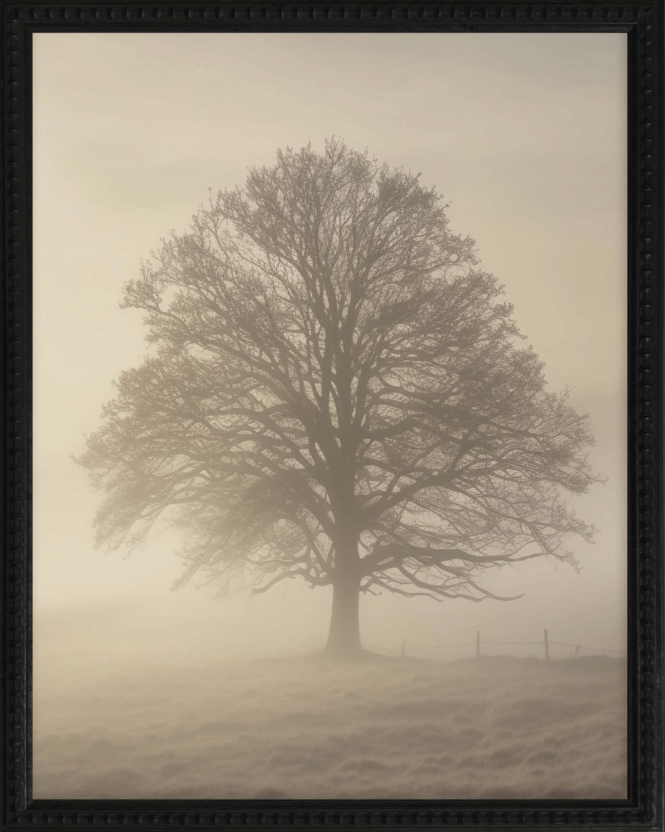 16x20 Black Bead Gallery Frame - Foggy Tree