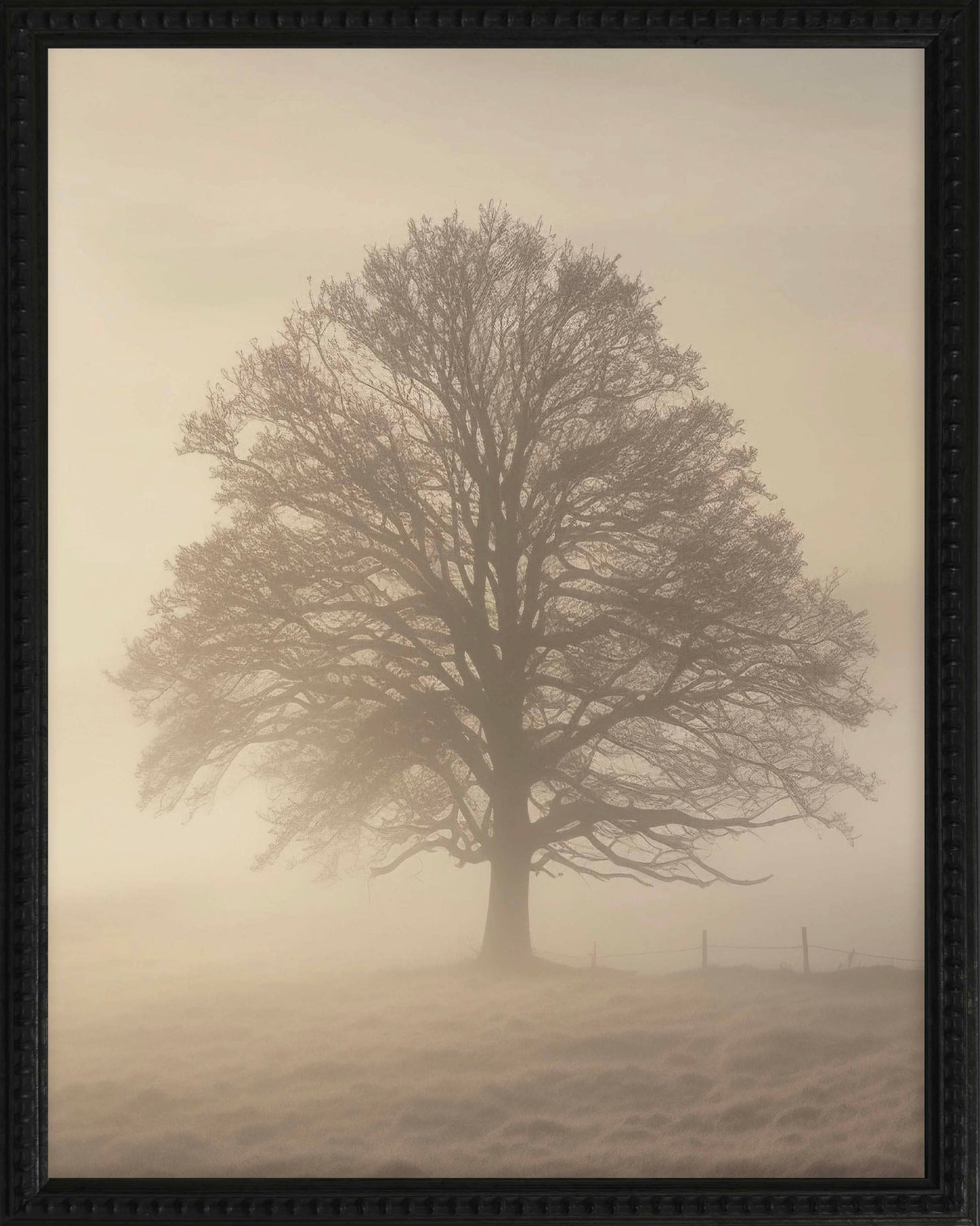 16x20 Black Bead Gallery Frame - Foggy Tree