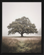 16x20 Black Bead Gallery Frame - Oak Tree