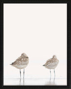 16x20 Black Bead Gallery Frame - Sandpipers