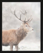 16x20 Black Bead Gallery Frame - Snowy Deer