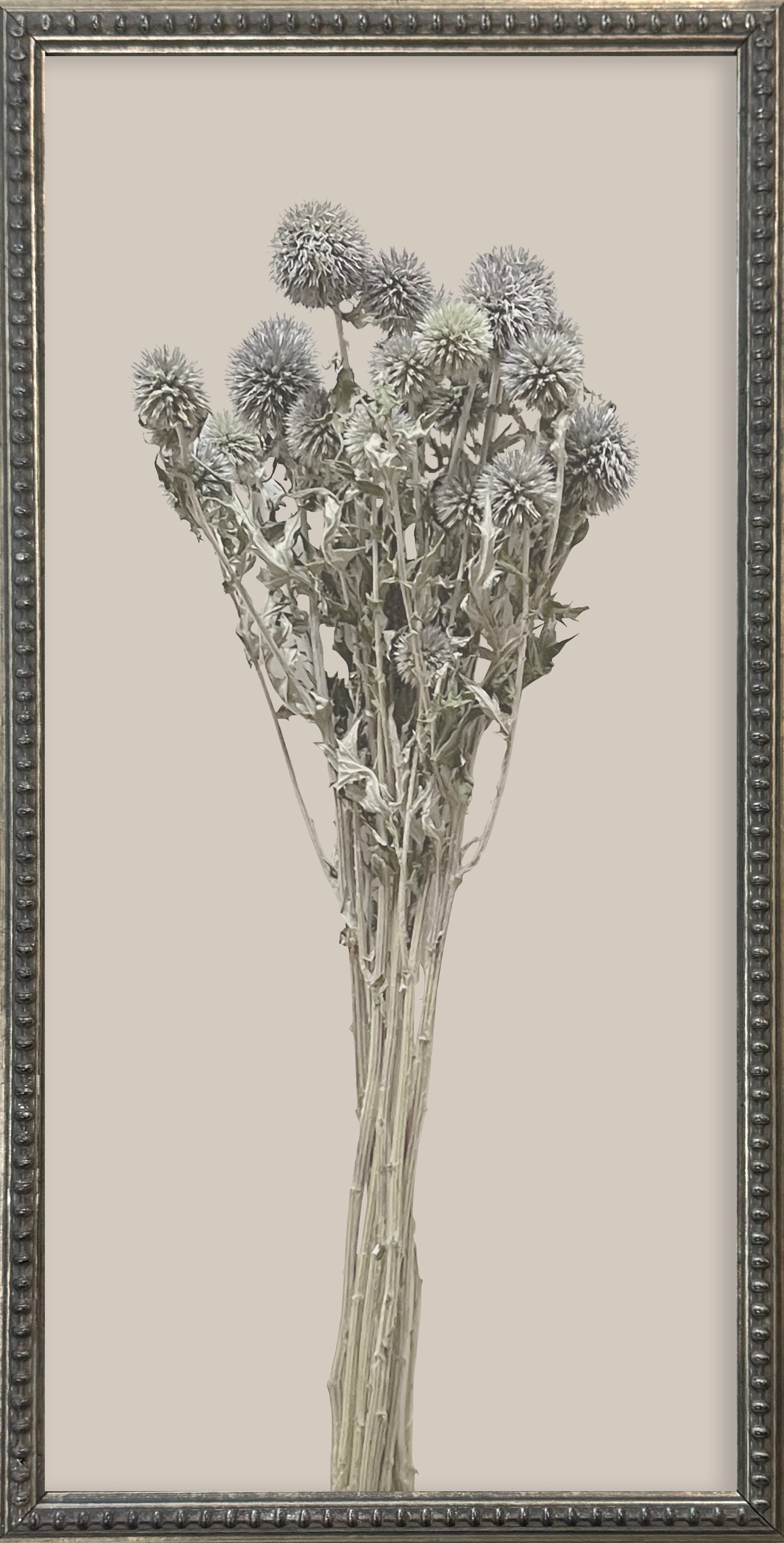 12x24 Textured Botanicals Silver Bead Gallery Frame