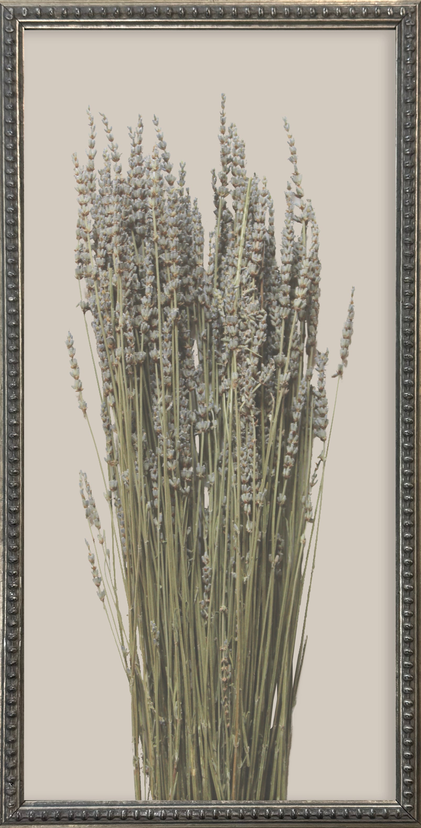 12x24 Textured Botanicals Silver Bead Gallery Frame