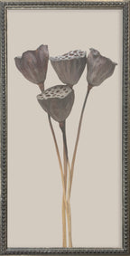 12x24 Textured Botanicals Silver Bead Gallery Frame