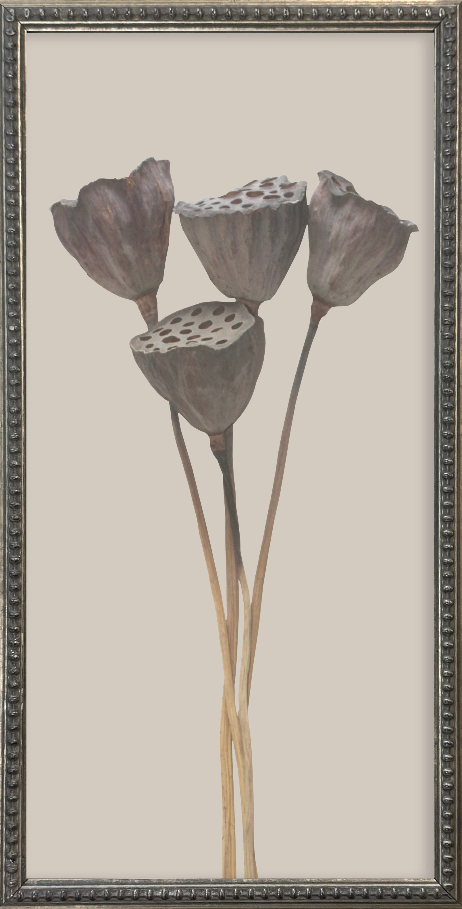 12x24 Textured Botanicals Silver Bead Gallery Frame