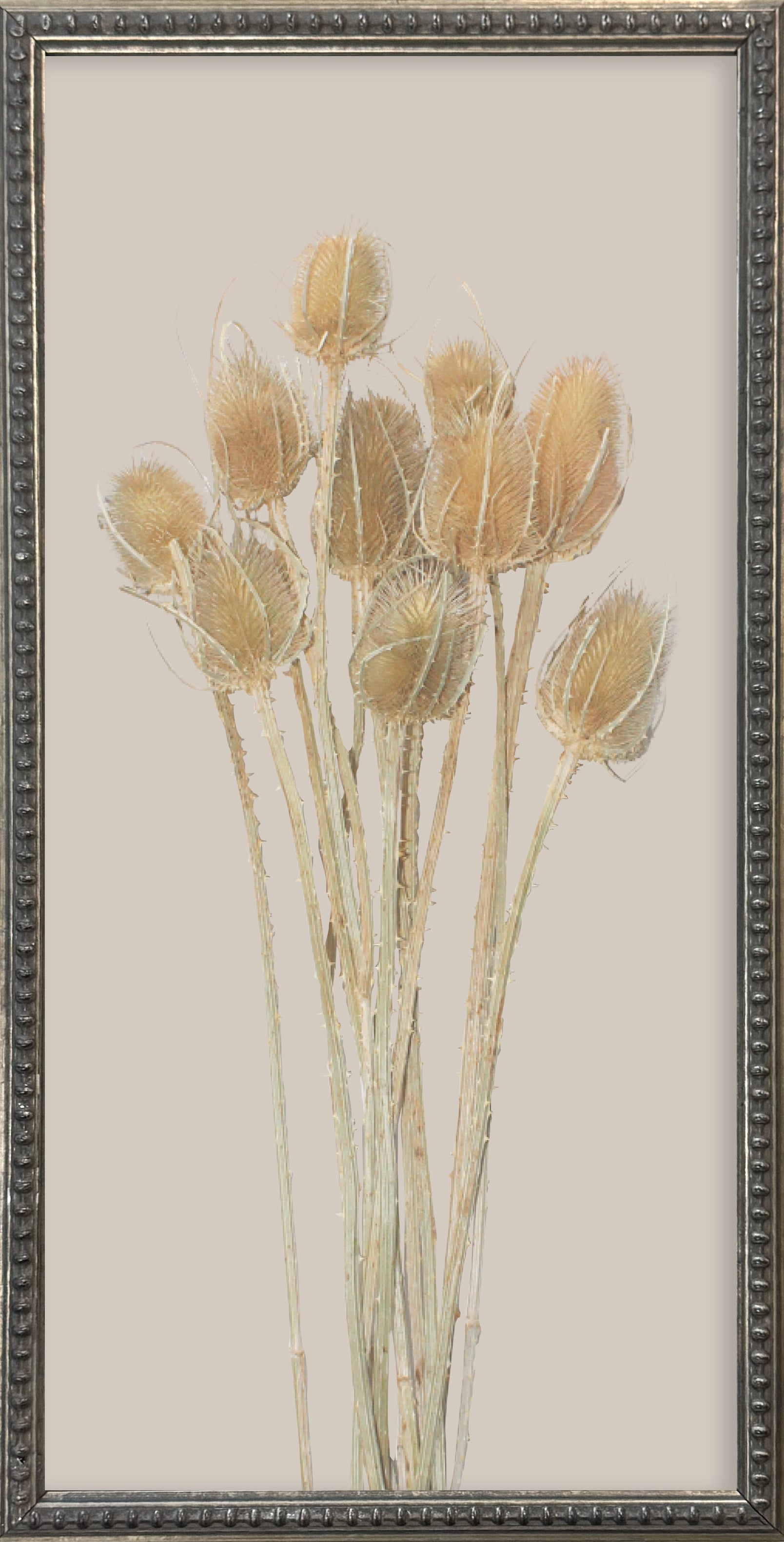 12x24 Textured Botanicals Silver Bead Gallery Frame