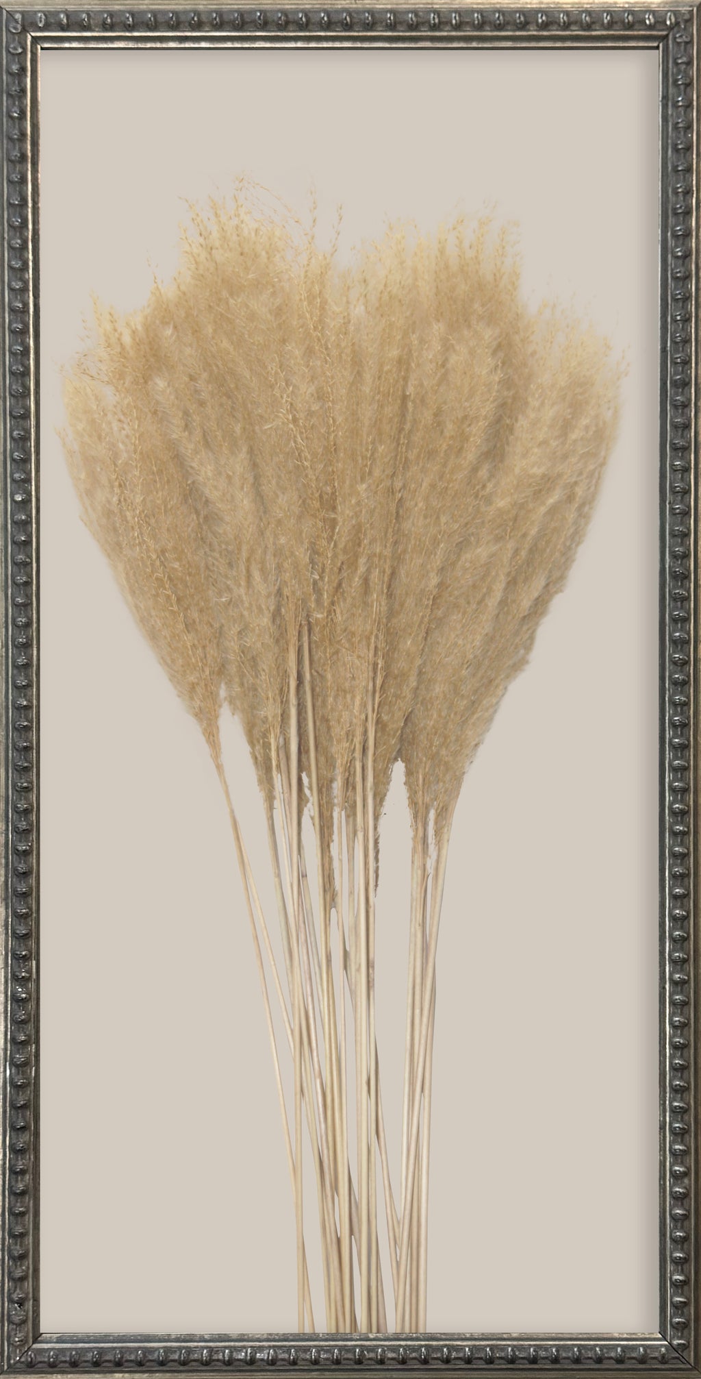 12x24 Textured Botanicals Silver Bead Gallery Frame