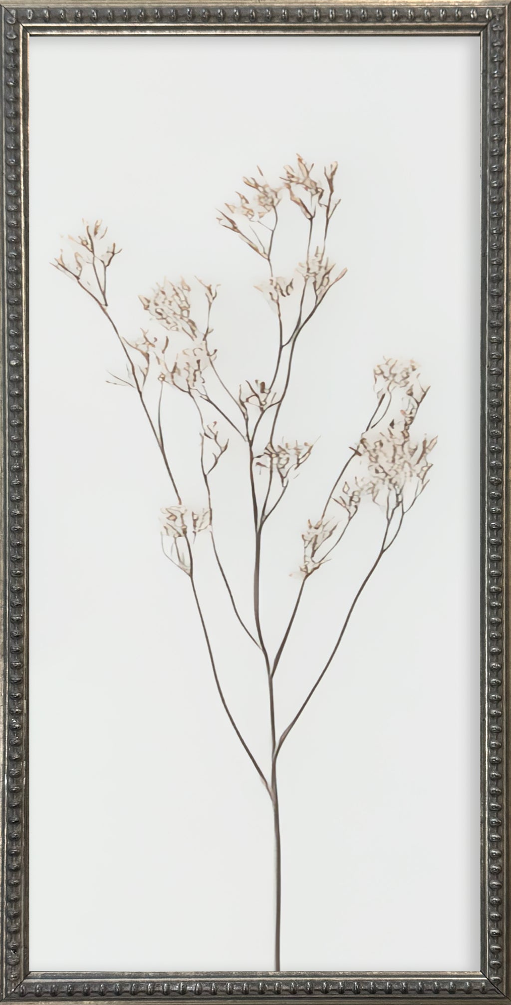 12x24 Whispy Botanicals Silver Bead Gallery Frame