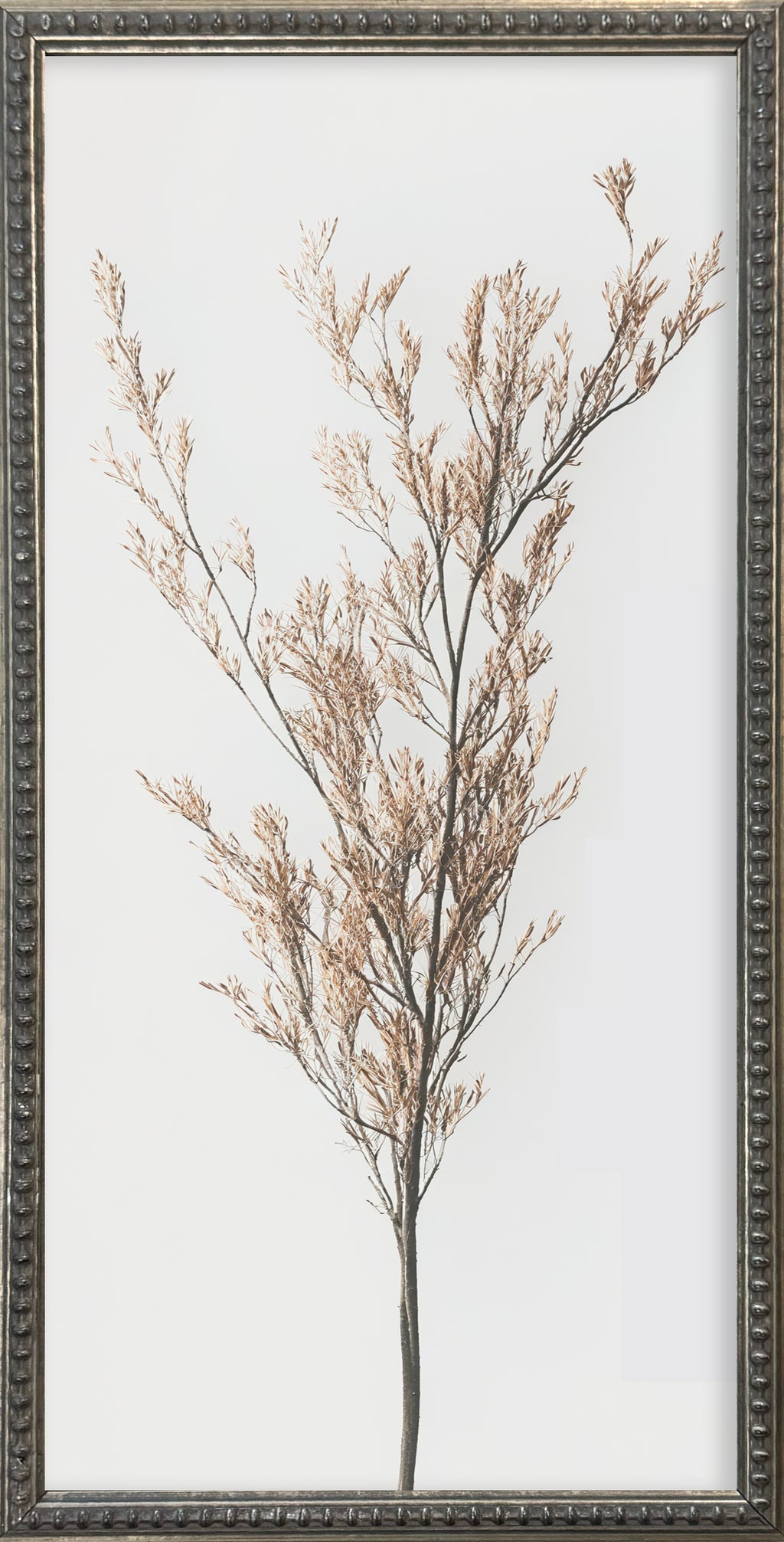 12x24 Whispy Botanicals Silver Bead Gallery Frame