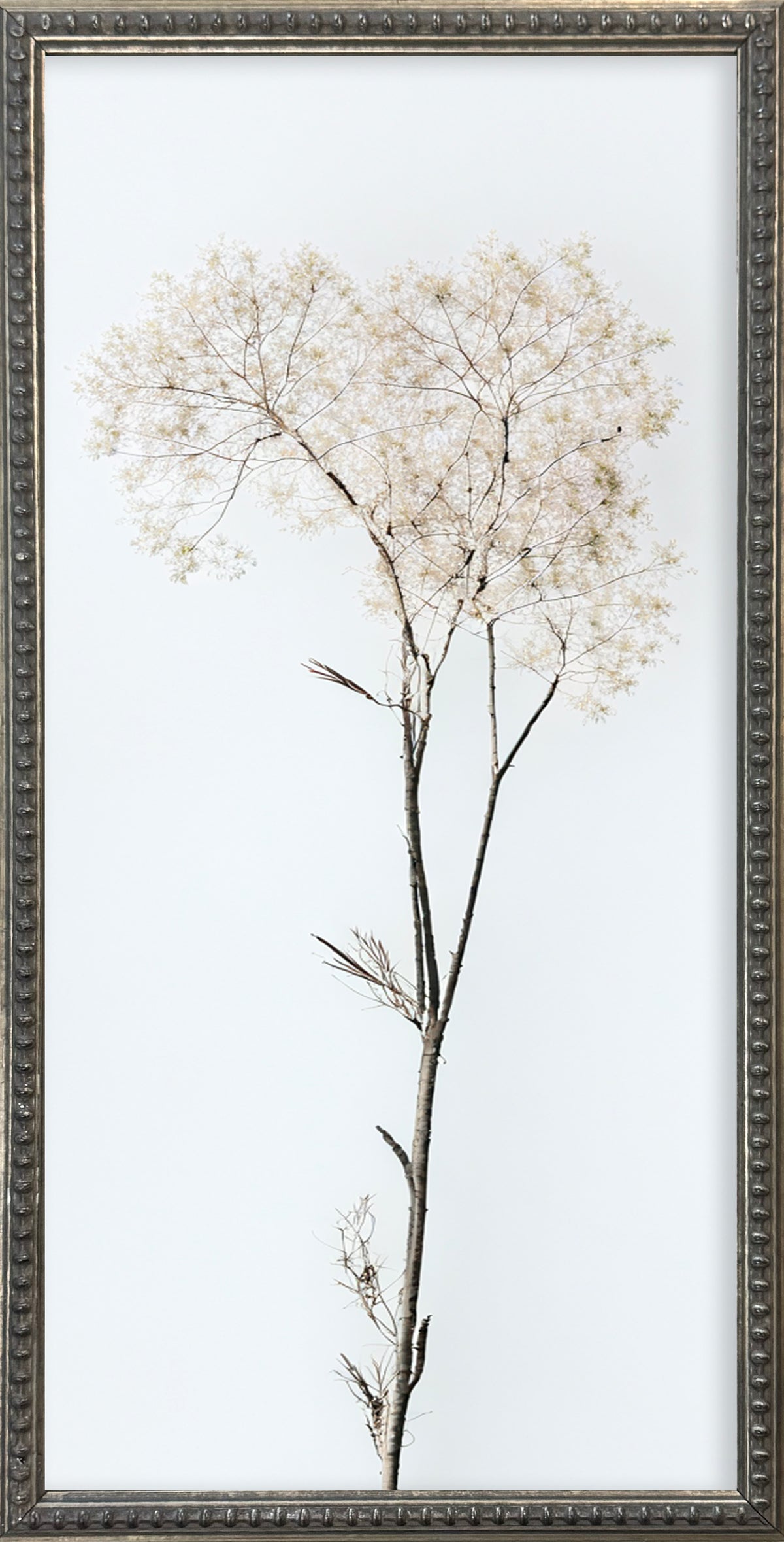 Square Whispy Frame 12x24 Whispy Botanicals Silver Bead Gallery Frame – Brayden & Brooks Retail