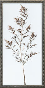 12x24 Whispy Botanicals Silver Bead Gallery Frame