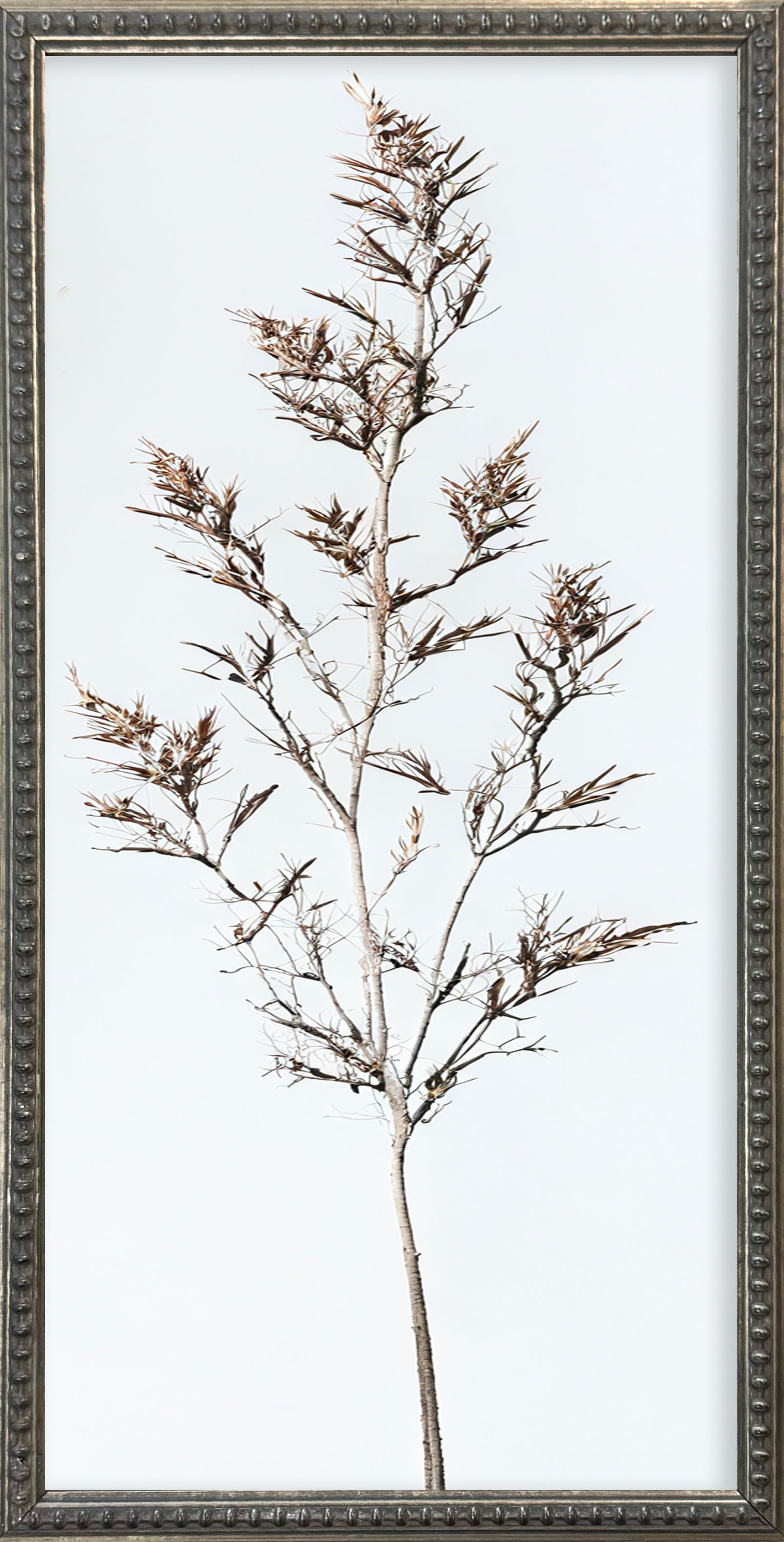 12x24 Whispy Botanicals Silver Bead Gallery Frame