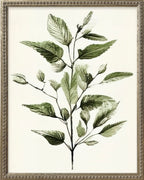 16x20 Green Botanicals Silver Bead Gallery Frame