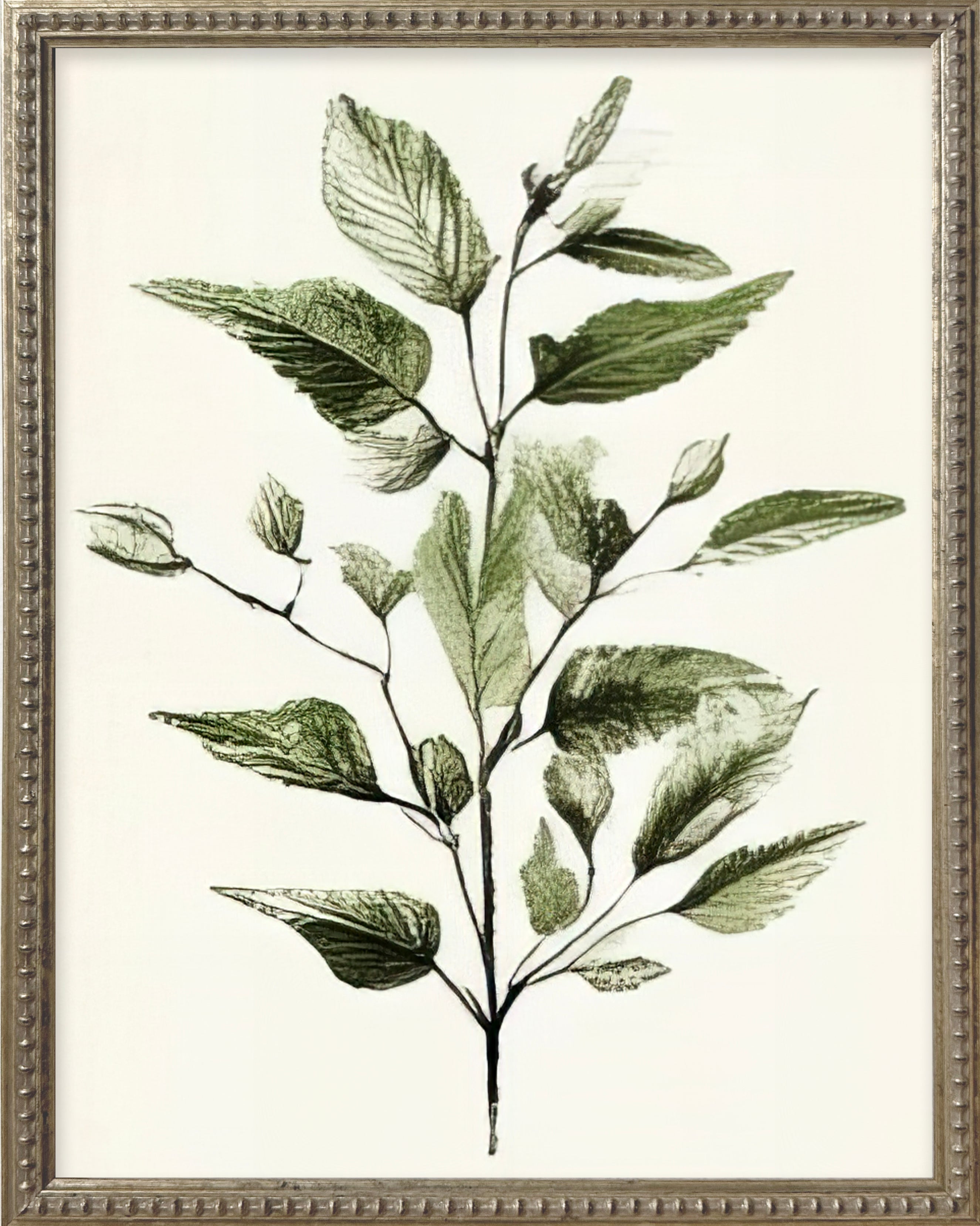 16x20 Green Botanicals Silver Bead Gallery Frame