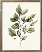 16x20 Green Botanicals Silver Bead Gallery Frame