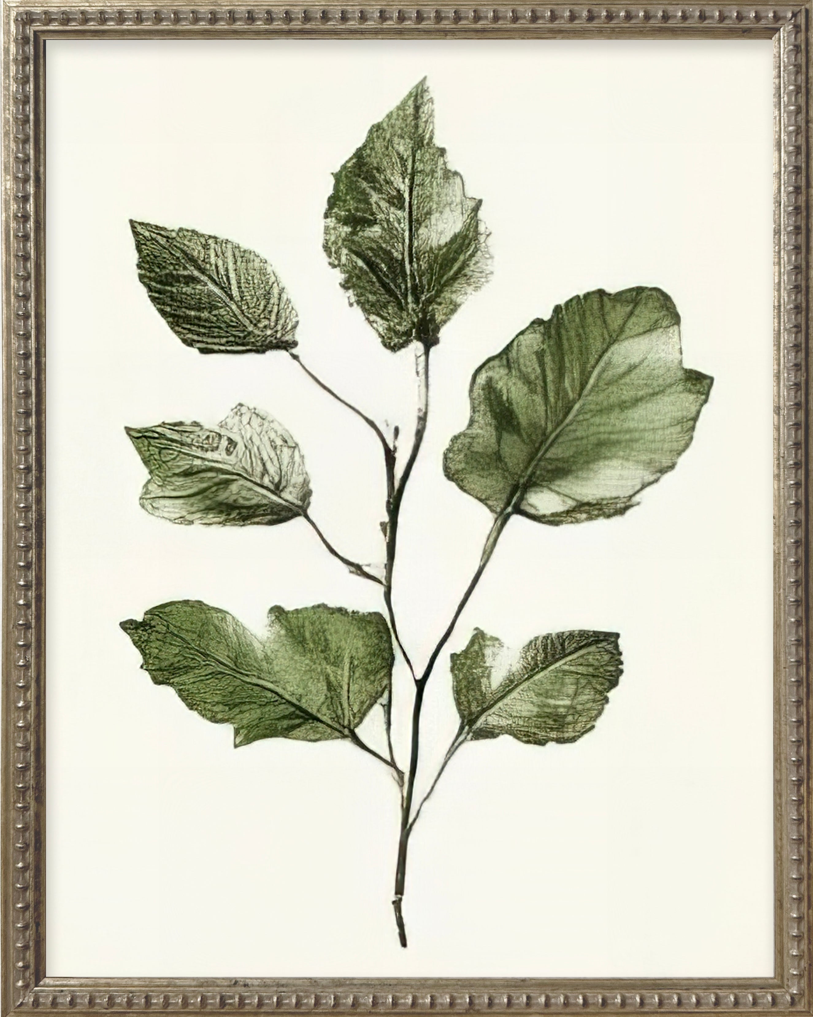 16x20 Green Botanicals Silver Bead Gallery Frame