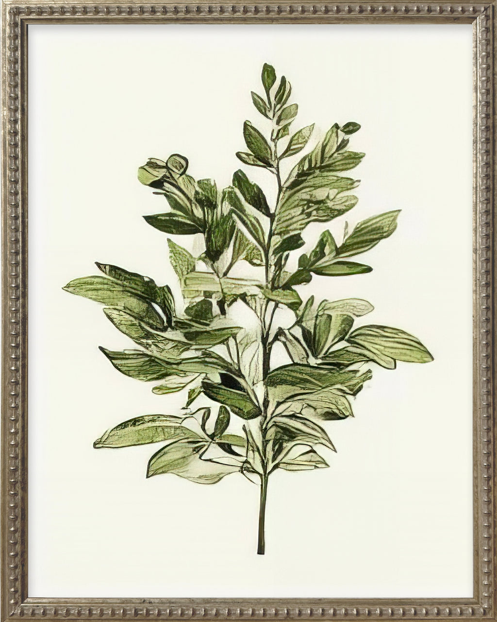 16x20 Green Botanicals Silver Bead Gallery Frame