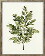 16x20 Green Botanicals Silver Bead Gallery Frame