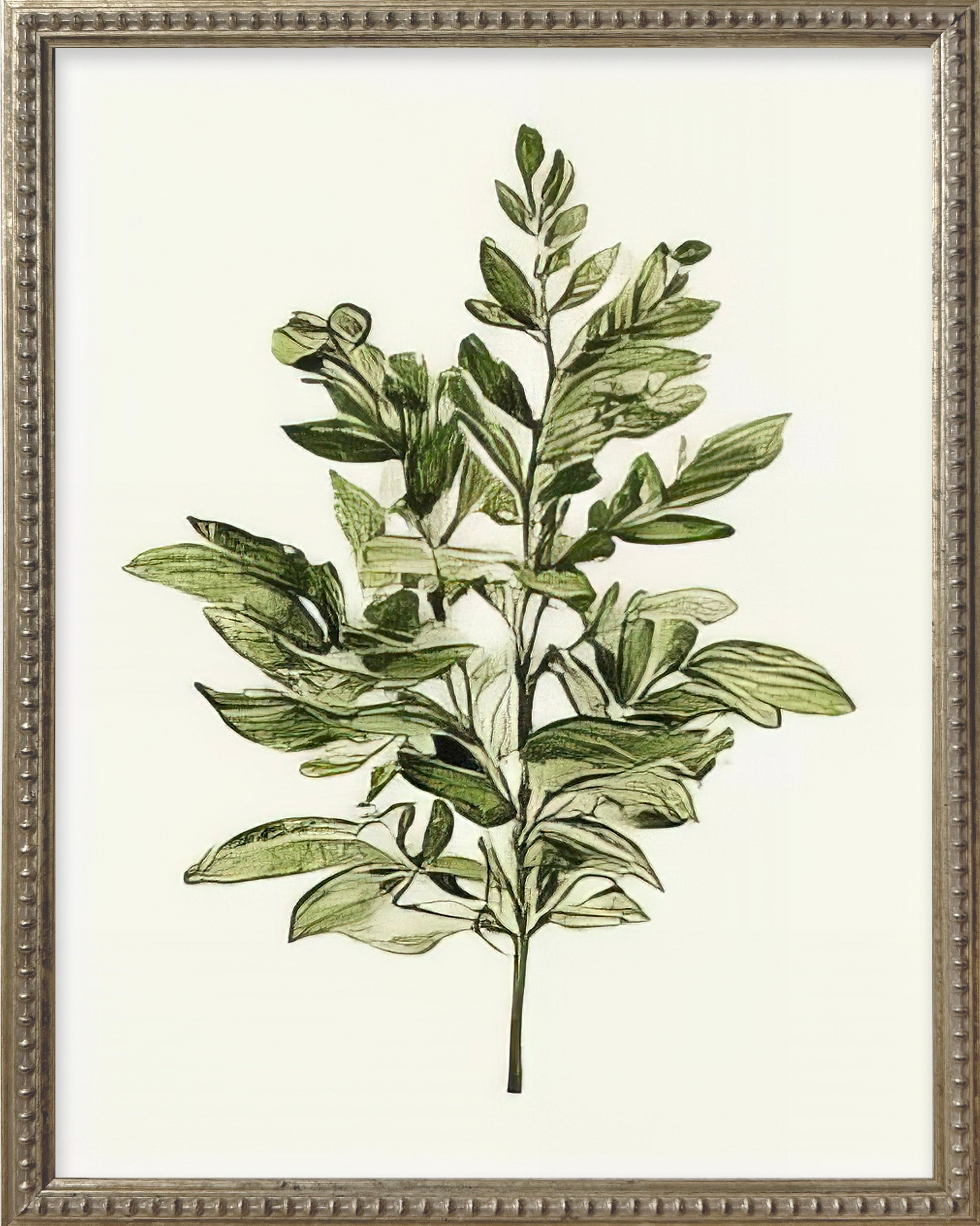 16x20 Green Botanicals Silver Bead Gallery Frame