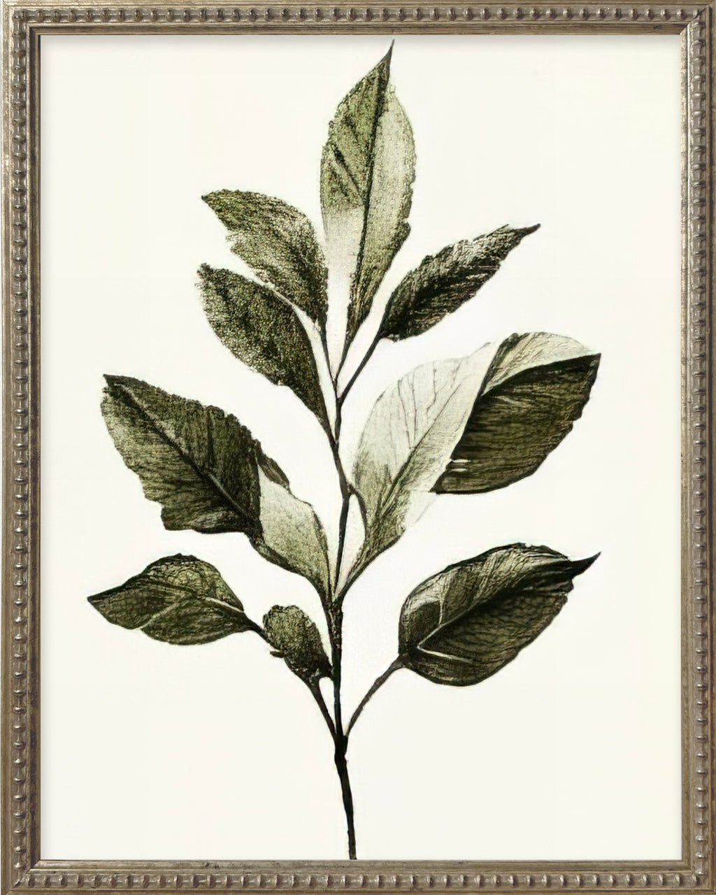 16x20 Green Botanicals Silver Bead Gallery Frame